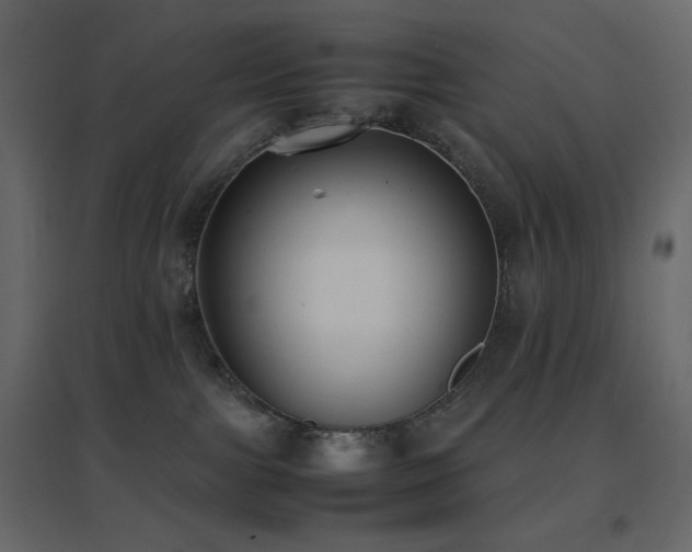 X0000096650091200802051205