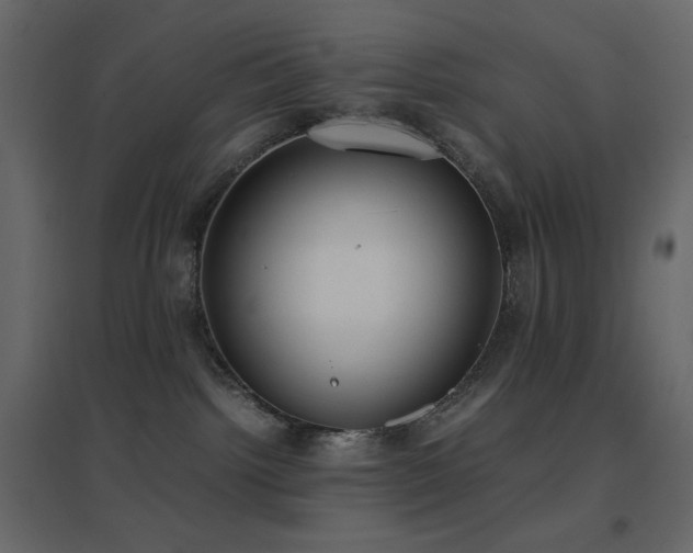 X0000096650092200802051205