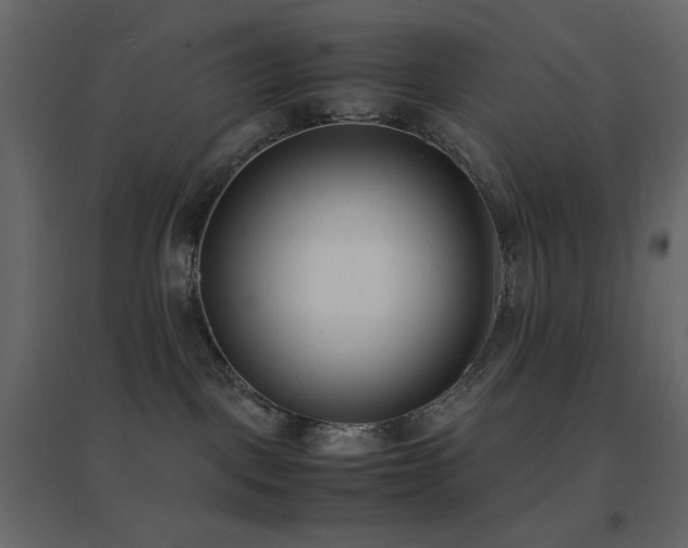 X0000096650093200802051205