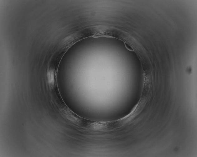X0000096650094200802051205