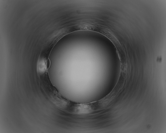 X0000096650095200802051205