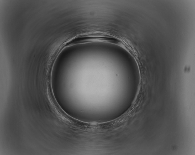 X0000096650097200802051204