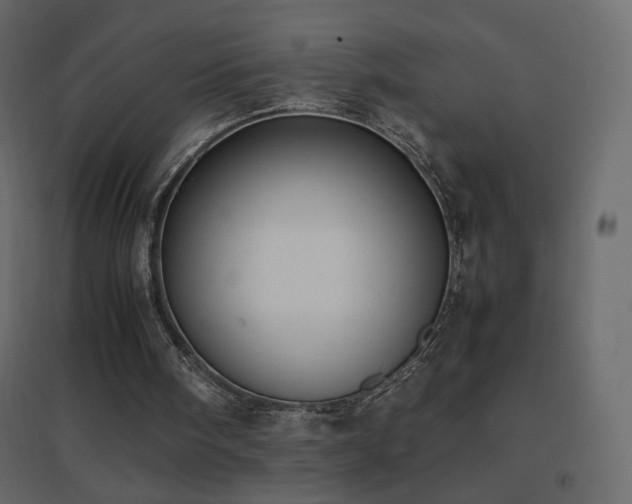 X0000096650098200802051204