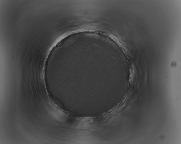 X0000096650100200802051204
