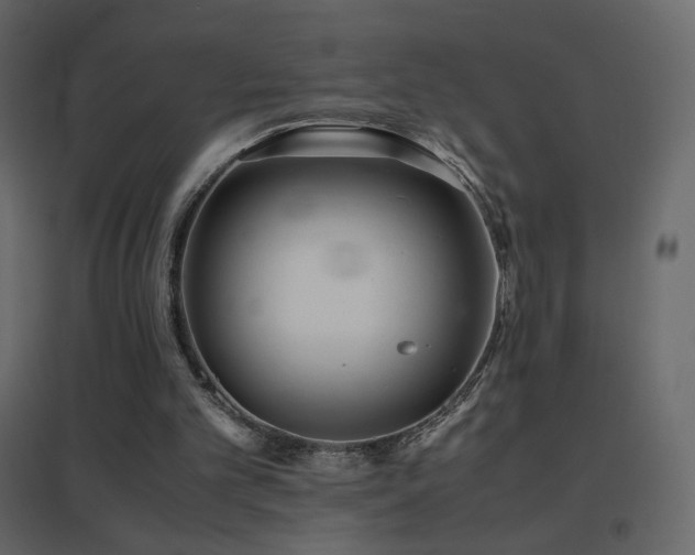 X0000096650101200802051204