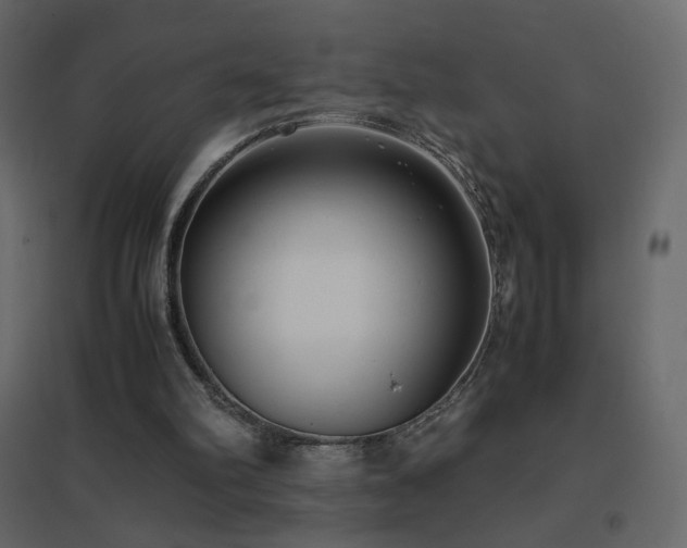 X0000096650102200802051204