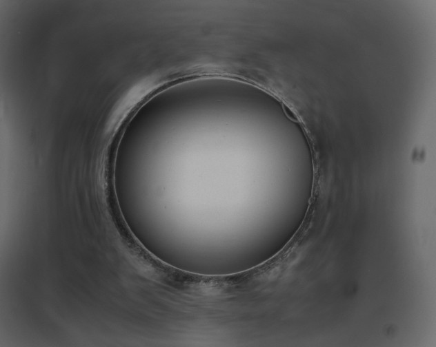 X0000096650103200802051204