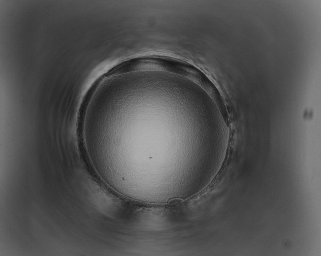X0000096650104200802051204