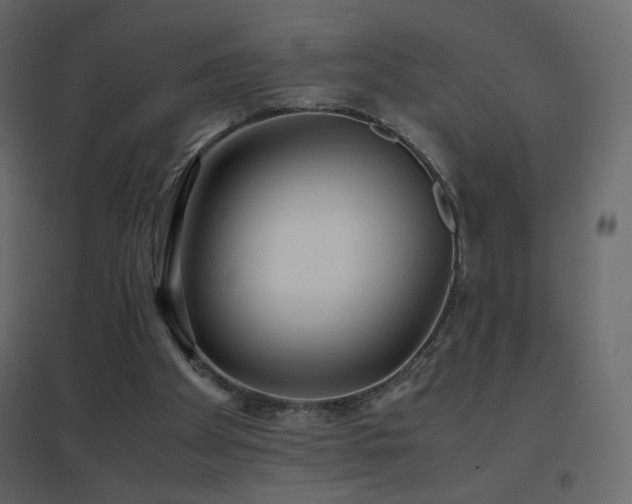 X0000096650105200802051204