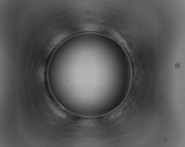 X0000096650106200802051204