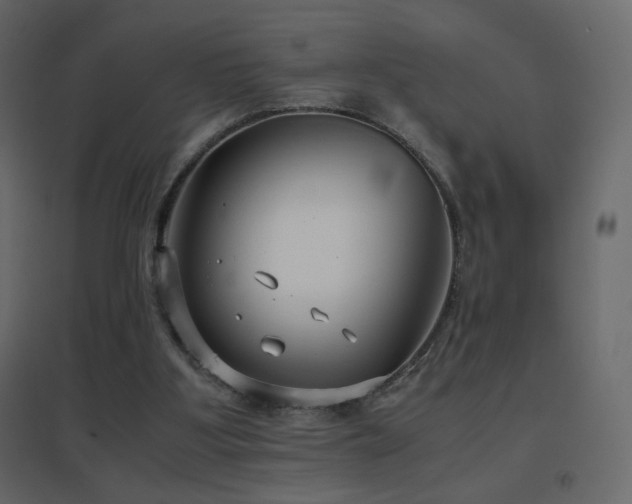 X0000096650107200802051204
