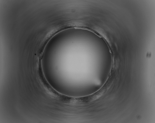 X0000096650109200802051204