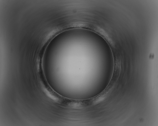 X0000096650110200802051204