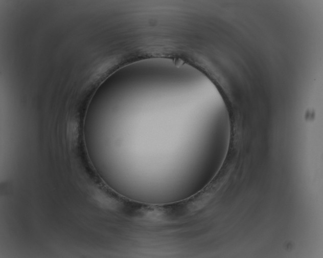 X0000096650113200802051204