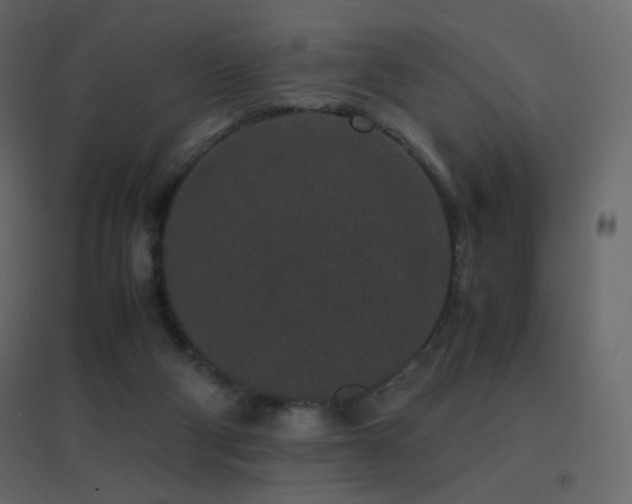 X0000096650114200802051204