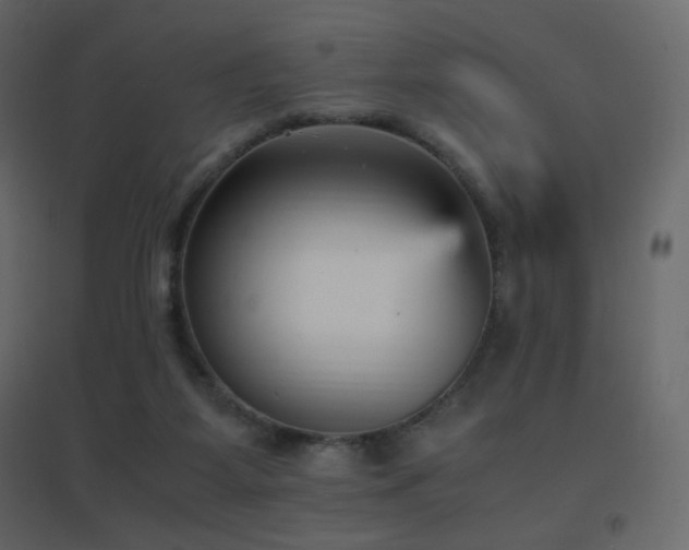 X0000096650115200802051204