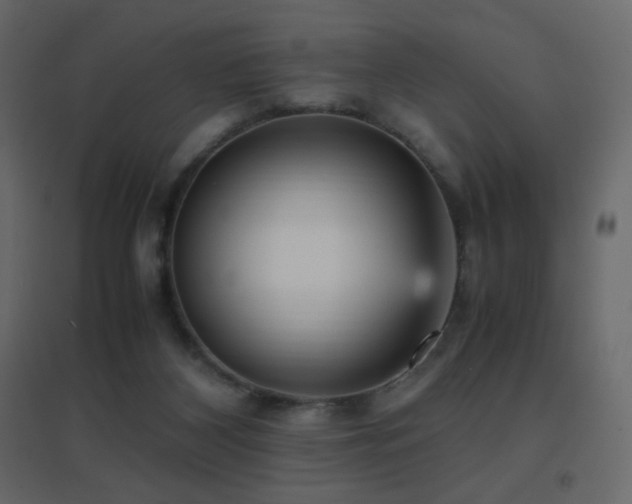 X0000096650116200802051204