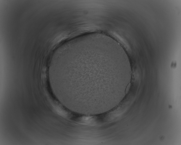 X0000096650117200802051204