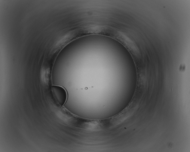 X0000096650118200802051204