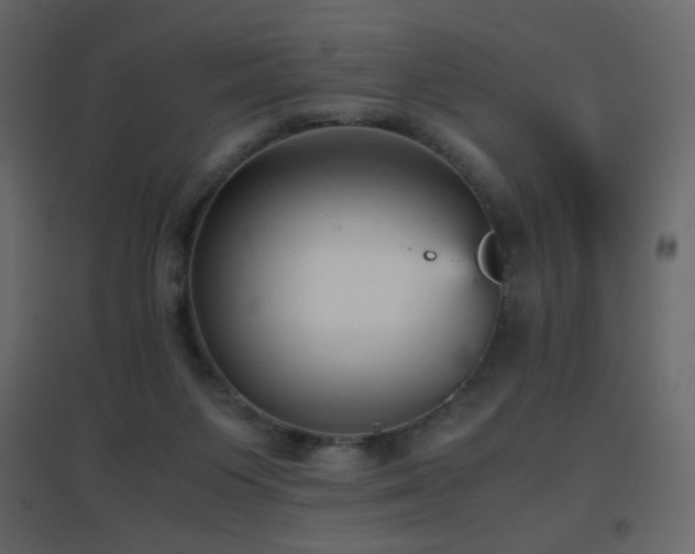 X0000096650119200802051204