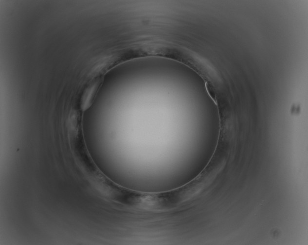 X0000096650121200802051204