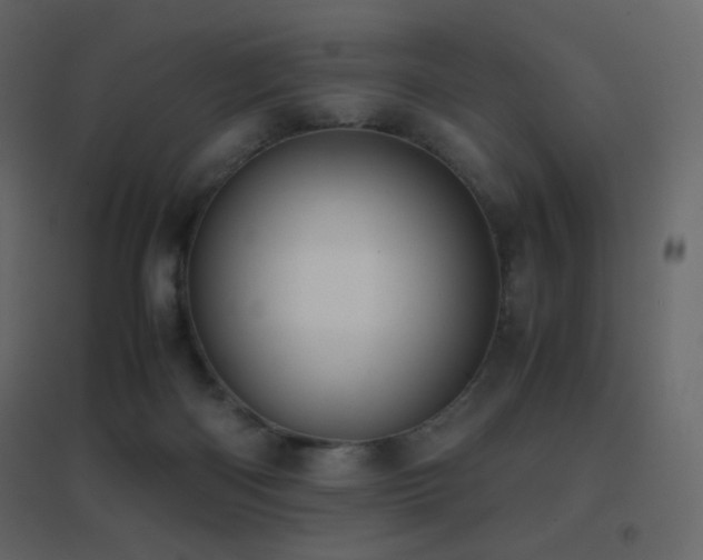 X0000096650122200802051204