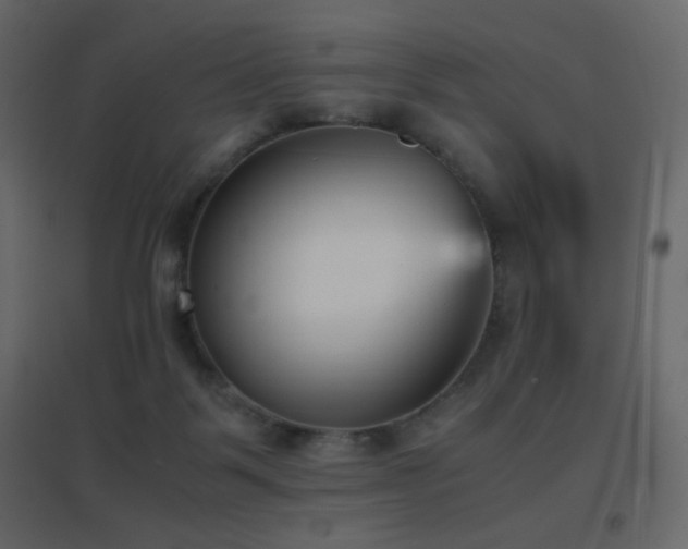 X0000096650123200802051204