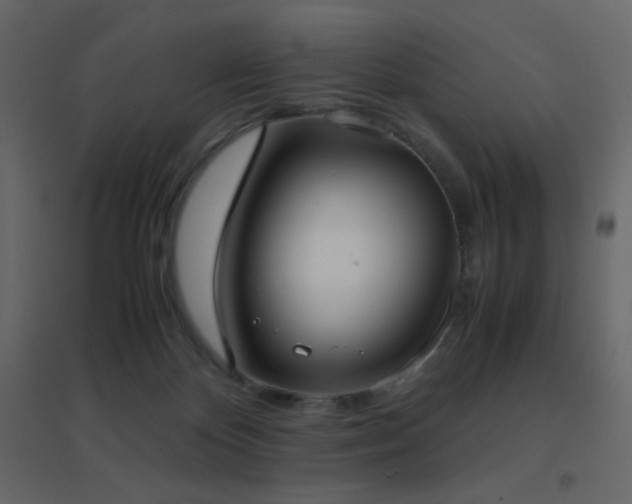 X0000096650124200802051204