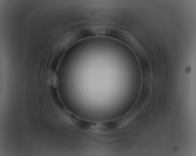 X0000096650125200802051204