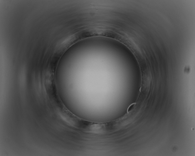 X0000096650126200802051204