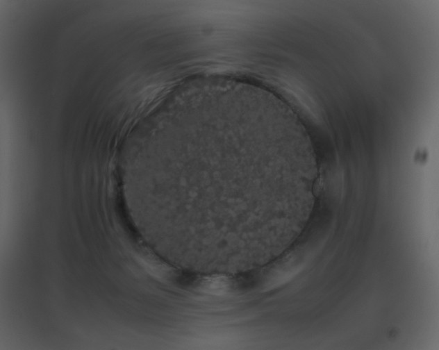 X0000096650127200802051204