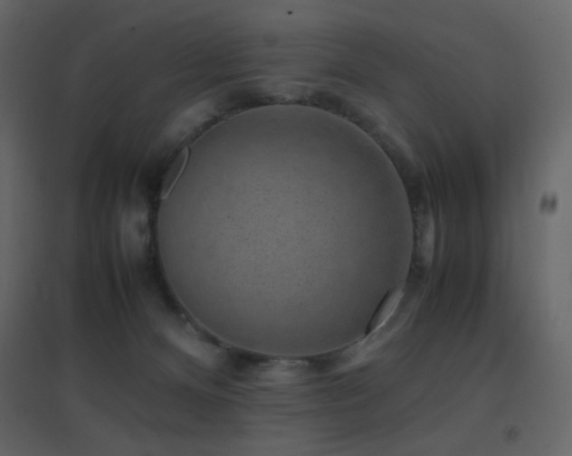 X0000096650128200802051204