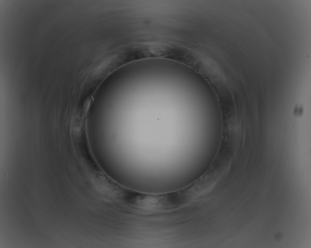 X0000096650129200802051204