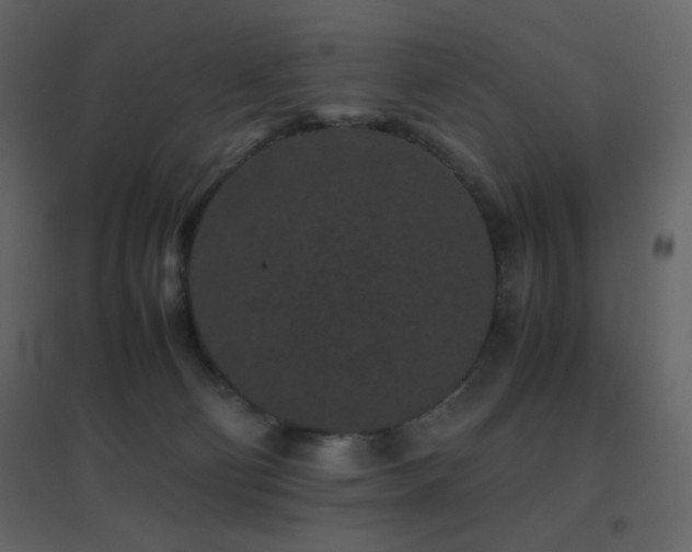 X0000096650130200802051204