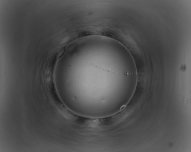 X0000096650131200802051204
