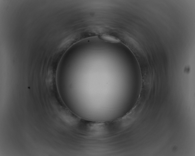 X0000096650132200802051204