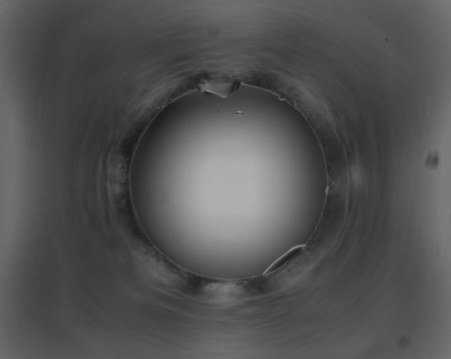 X0000096650133200802051204
