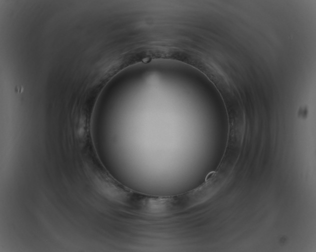 X0000096650134200802051204