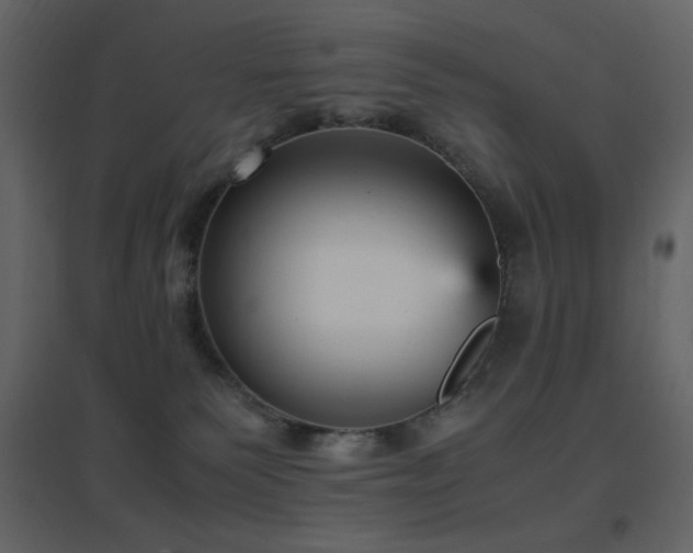 X0000096650135200802051204