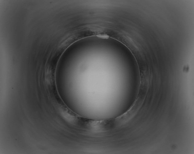 X0000096650136200802051204