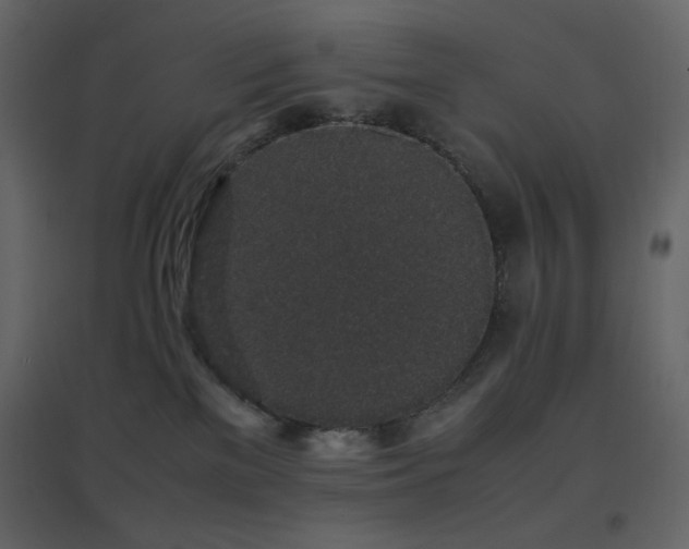 X0000096650137200802051204