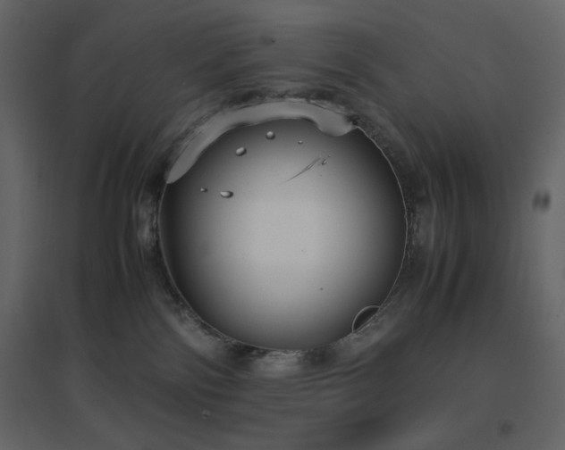 X0000096650138200802051204