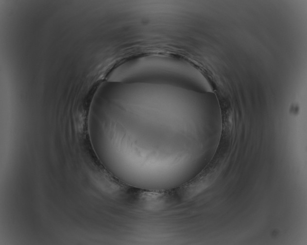 X0000096650139200802051204