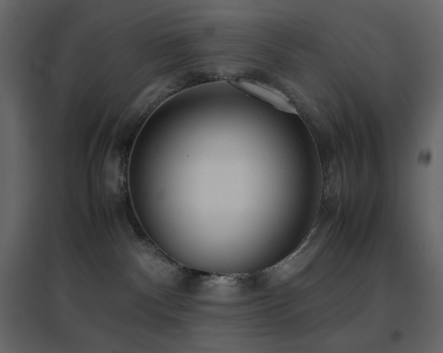 X0000096650140200802051204