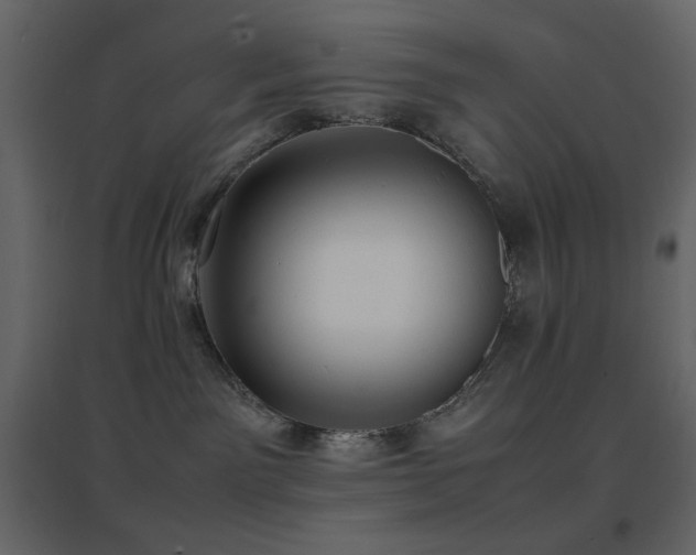 X0000096650141200802051204