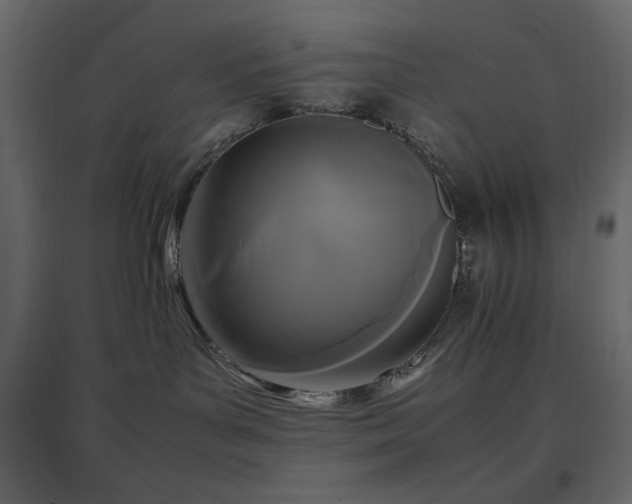 X0000096650143200802051204