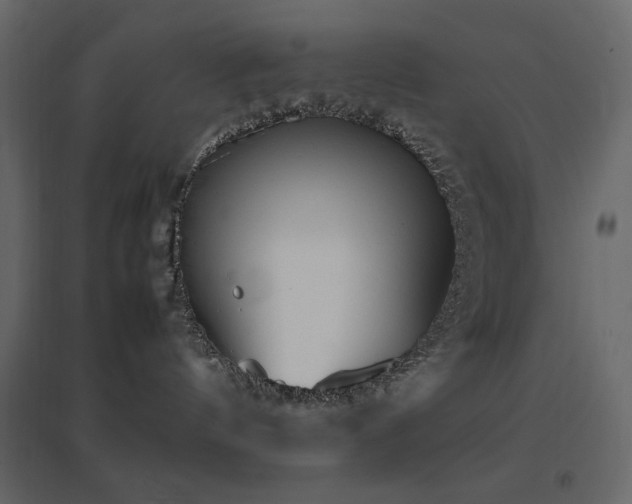 X0000096650144200802051204