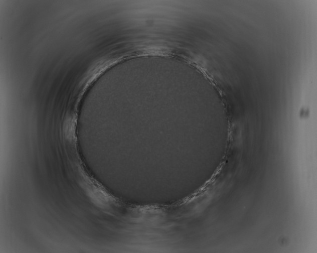 X0000096650146200802051203