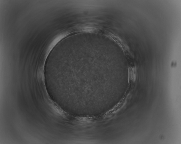 X0000096650147200802051203