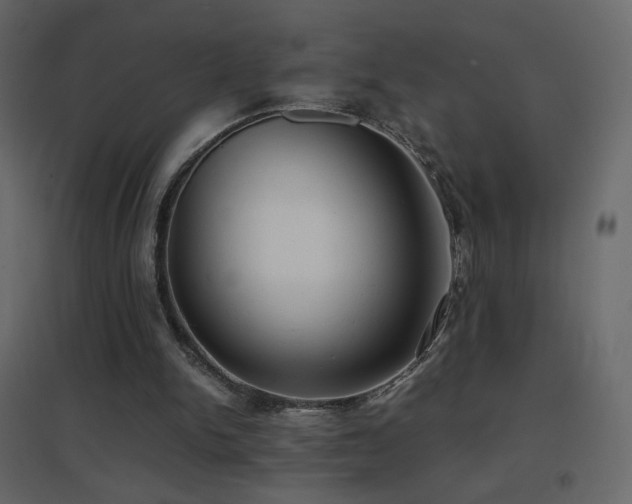 X0000096650150200802051203